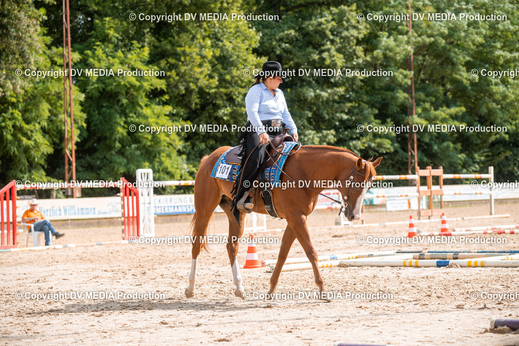 ZS3_9381 | dv-media-shop - Realisiert mit Pictrs.com