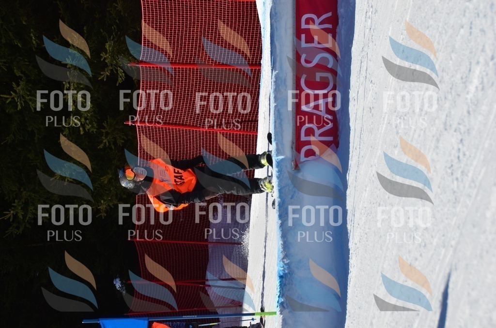 C4256 | holidayphoto
