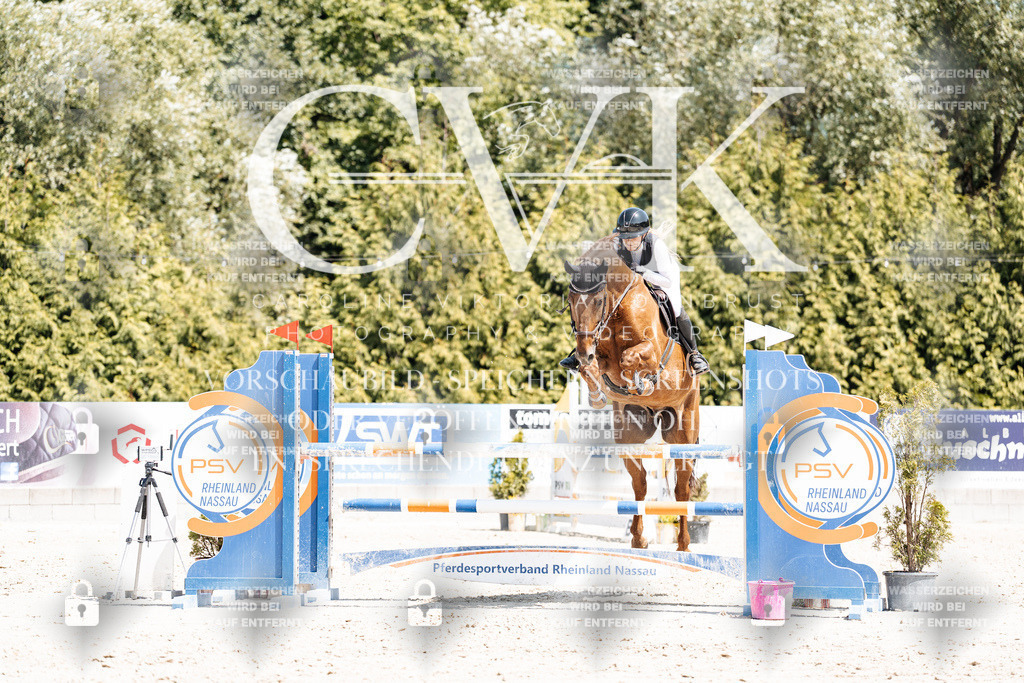 CK900443 | Turnierfotografie Pferdefotografie Trier Rheinland-Pfalz Pferdesport Reitsport Tierfotografie Sportfotografie Pferdevideo Pferdevideografie Equestrianvideography equestrianphotography  - Realisiert mit Pictrs.com