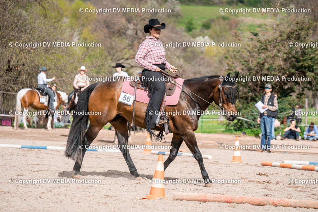 BAL02686 | dv-media-shop - Realisiert mit Pictrs.com