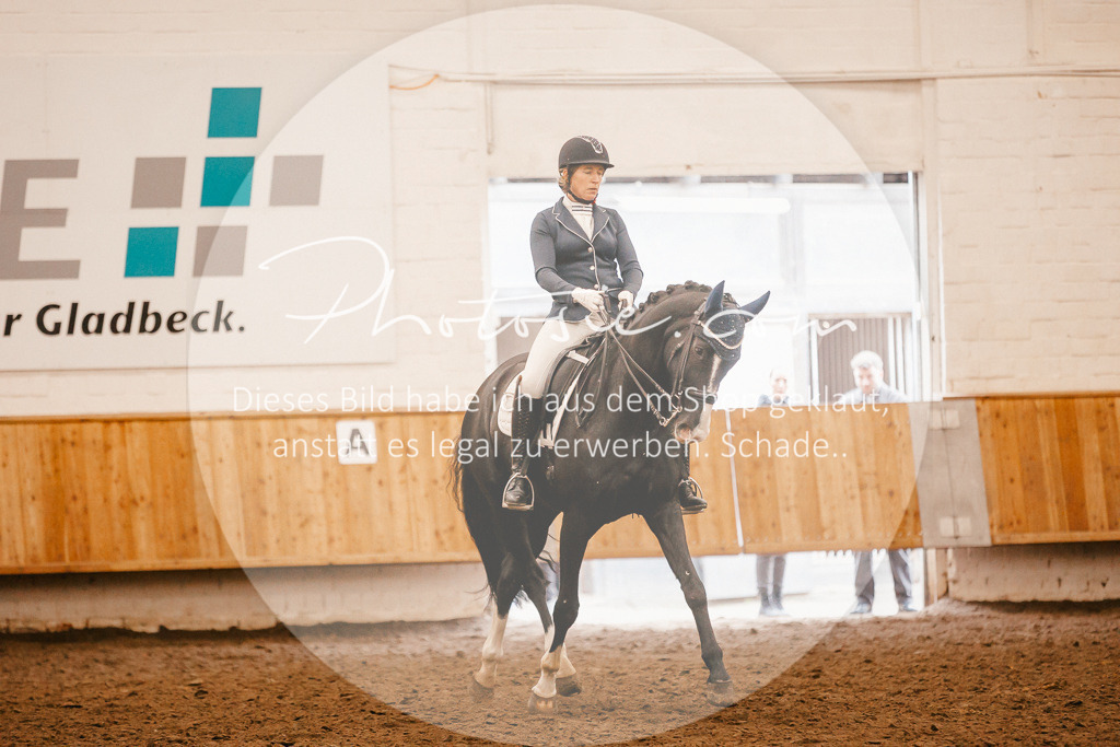 3I6A2697 | Stimmungsvolle Portraits und Reitsportfotografie im Ruhrgebiet und im Münsterland.

Pferdefotografie, Hundefotografie, Tierfotografie, Reportagen, Portraits von Tier und Mensch, Turnierfotografie in Bochum, Recklinghausen, Marl, Haltern am See, Dülmen.. - Realisiert mit Pictrs.com