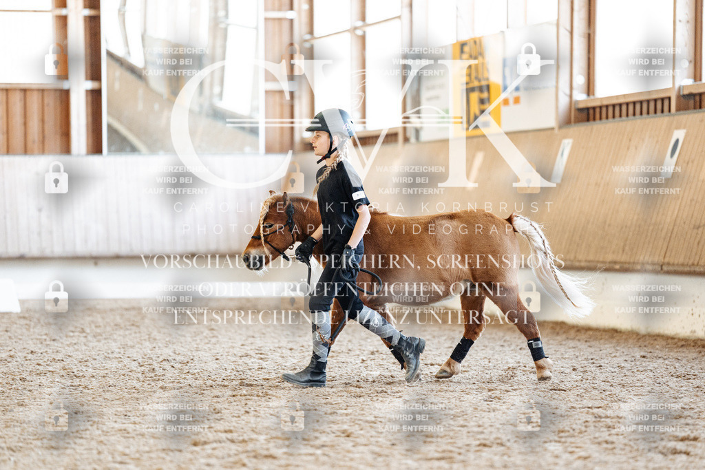 CK906994 | Turnierfotografie Pferdefotografie Trier Rheinland-Pfalz Pferdesport Reitsport Tierfotografie Sportfotografie Pferdevideo Pferdevideografie Equestrianvideography equestrianphotography  - Realisiert mit Pictrs.com