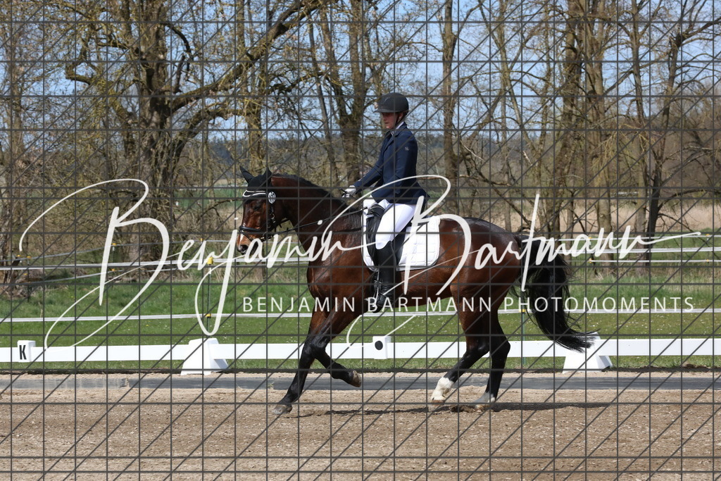 AZ2A3908 | Benjamin Bartmann Photomoments