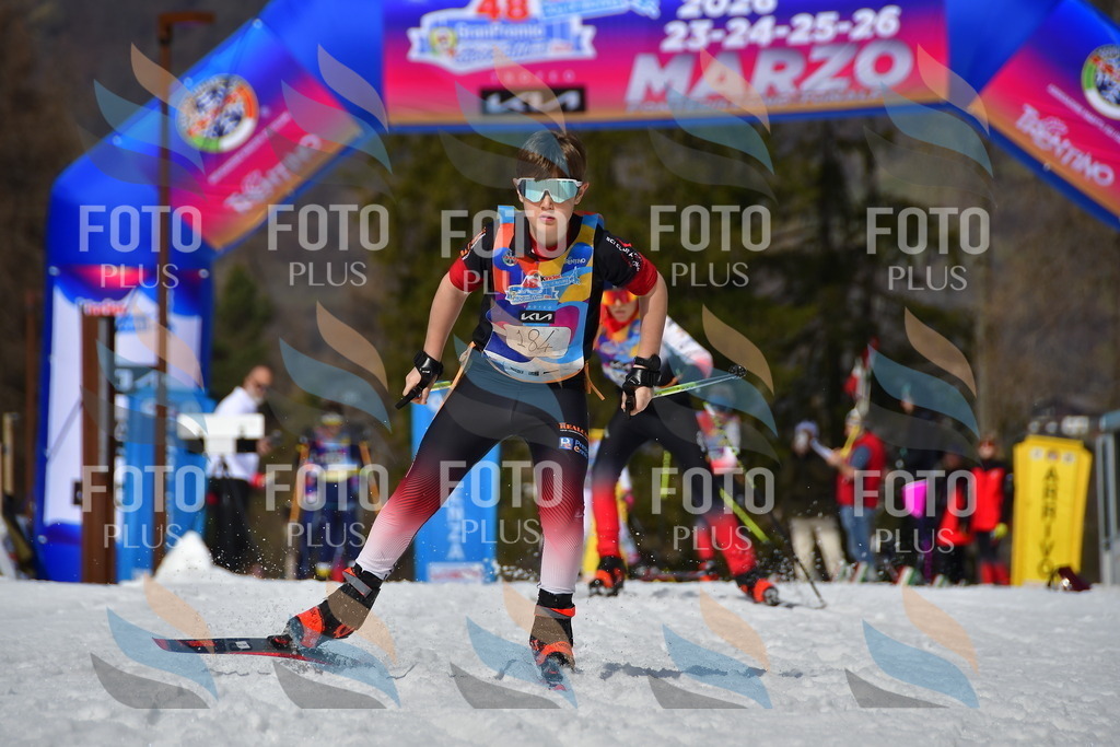 _DSC0829 | holidayphoto