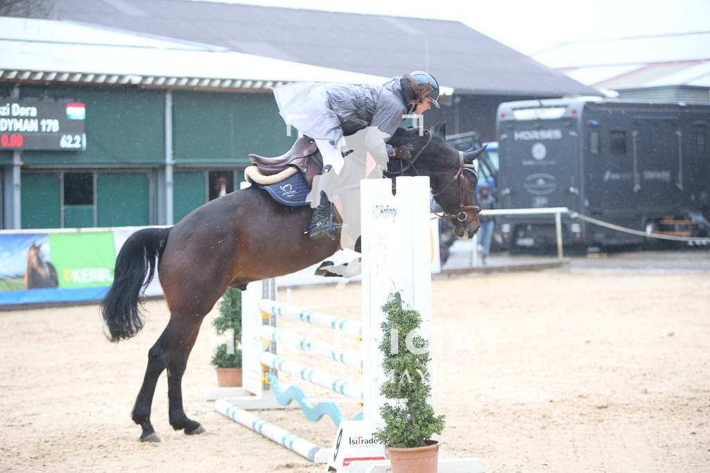 AS8V1320 | Willkommen bei Brunnmayr - Design & Fotografie – Ihrem Spezialisten für Reitturniere und Pferdeveranstaltungen in Oberösterreich, Salzburg und Bayern! Seit über 17 Jahren sind wir leidenschaftlich dabei.