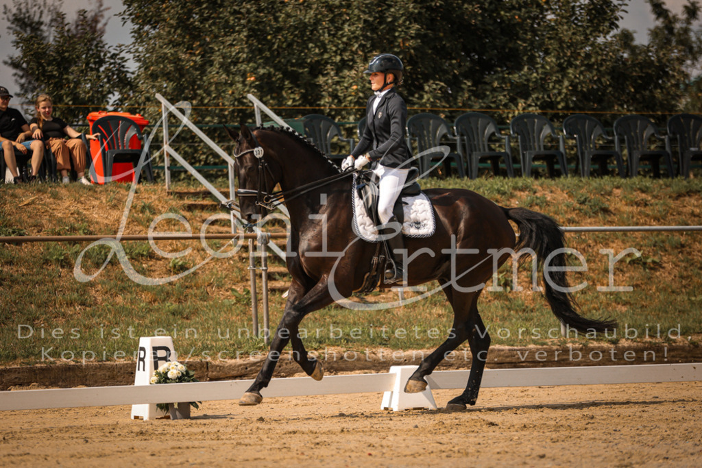 18.FrDrM00185 | Leoni Ertmer Photography - Realisiert mit Pictrs.com