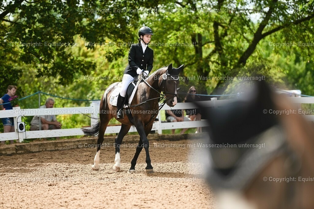 20230716_10-1_Reiter-WB Schritt - Trab - Galopp_0112 | equistock