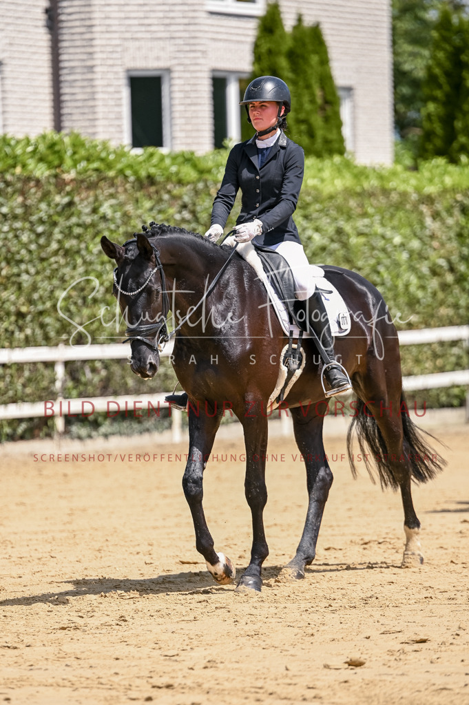 Schugtsche-Aluta25-48.Reitpferfdeprf.-242 | Schugtsche Fotografie - Realisiert mit Pictrs.com