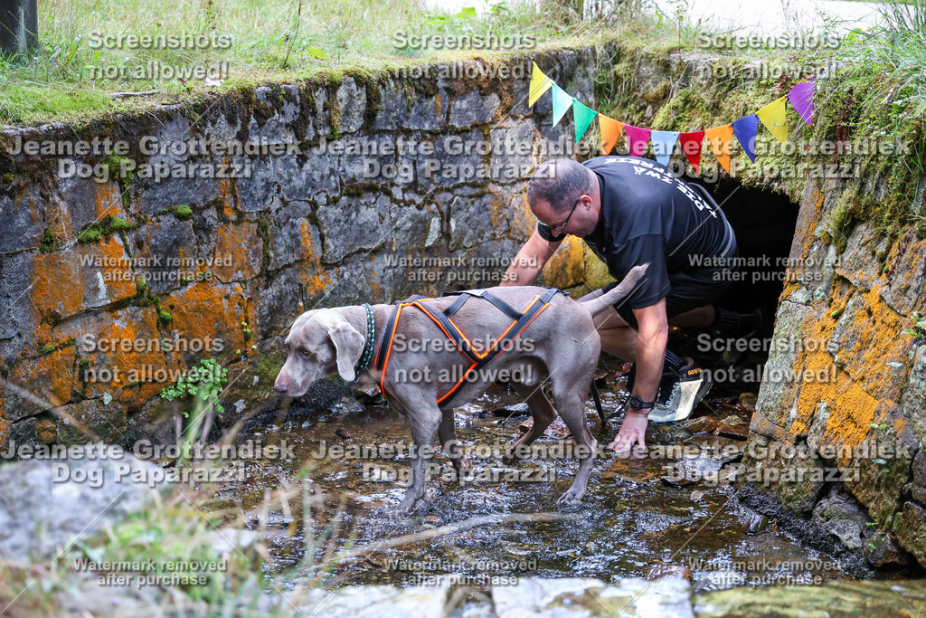 Dog Paparazzi -  TH 26-455 | Dog Paparazzi Jeanette Grottendiek Fotografie & Videografie - Realisiert mit Pictrs.com
