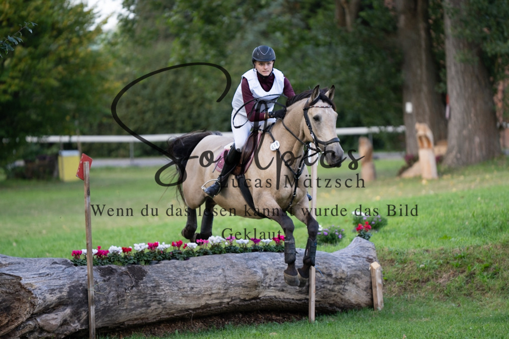 A7V03020 | Pferdefotograf