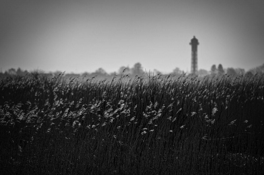 2024_03_03_HETLINGER SCHANZE_MCP6911 sw | Hochwertig gedruckte Fotografien für die Wand, als Kalender und zum Verschenken. Hamburg & Norddeutschland und überall wo ich mit der Kamera unterwegs war.