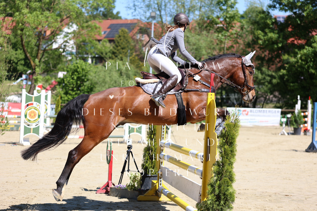 IMGS7215 | pl-fotografie