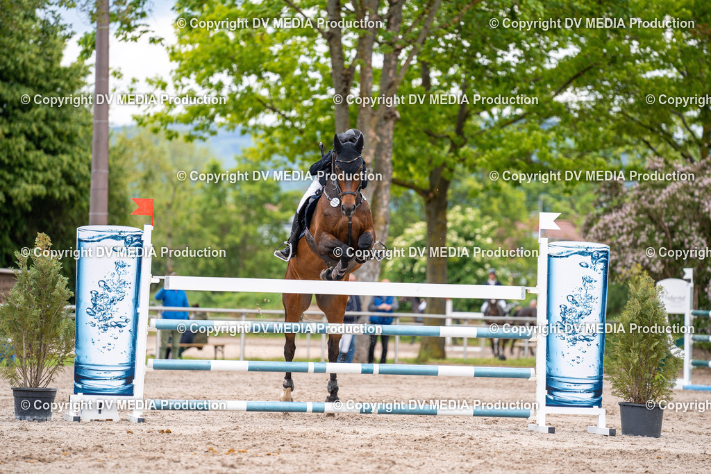 Eppelheim Tag 1-232 | dv-media-shop - Realisiert mit Pictrs.com