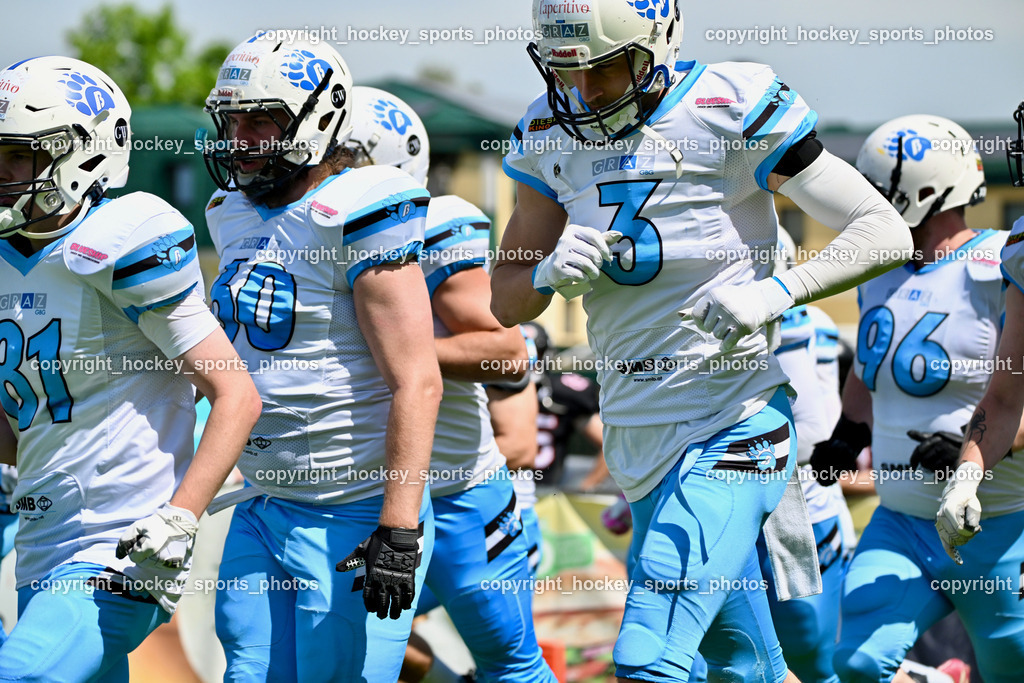 Carinthian Lions vs. Styrian Bears | Carinthian Lions vs. Styrian Bears, Carinthian Lions vs. Styrian Bears am 20.05.2024 in Klagenfurt (ASV Sportplatz), Austria, (Photo by Bernd Stefan)