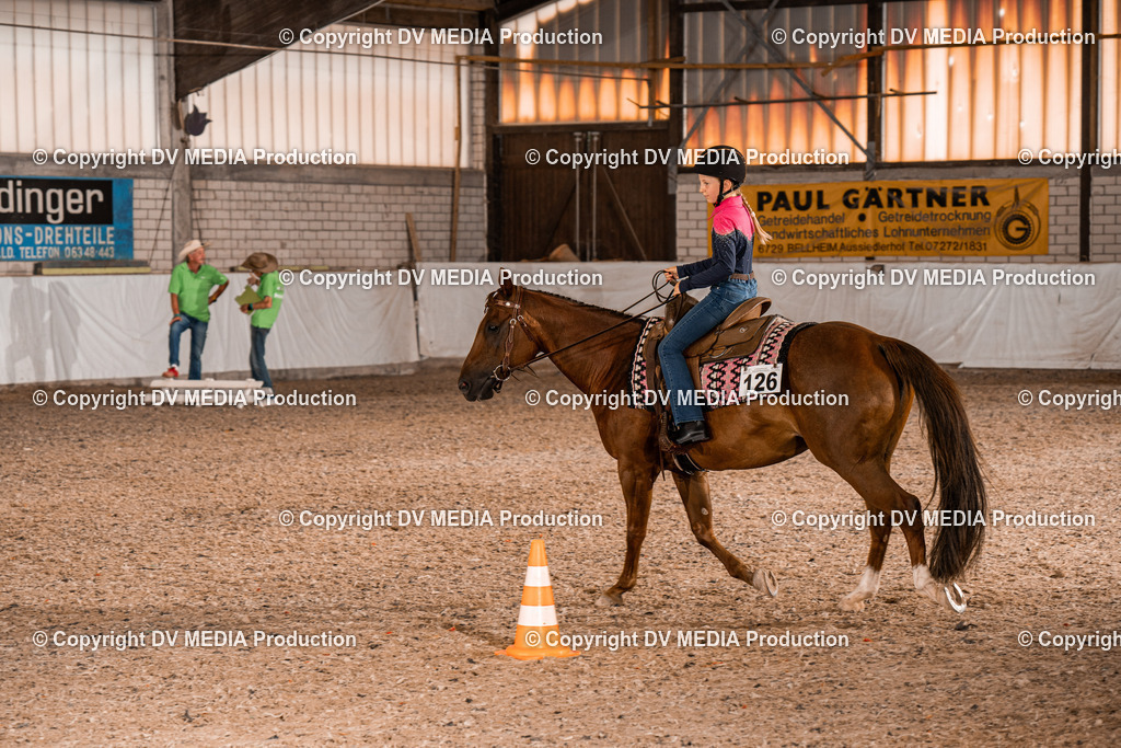 ZH200305 | dv-media-shop - Realisiert mit Pictrs.com