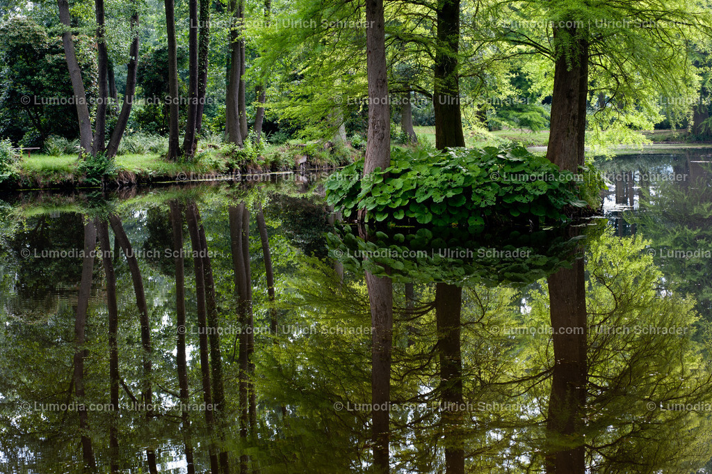 100494-4268 - Schlosspark Krumke | Stockfoto und Bilderpool mit Bildmaterial aus Deutschland, dem Harz, Halberstadt, Quedlinburg, Wernigerode und weltweit. Qualitativ hochwertige und professionelle Fotos anschauen und kaufen. - Realisiert mit Pictrs.com