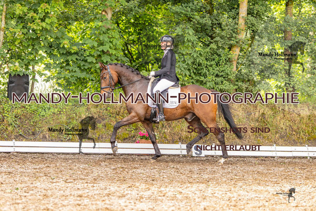 RPF 4 Filsum (75 von 535) | mandyhollmannphotographie