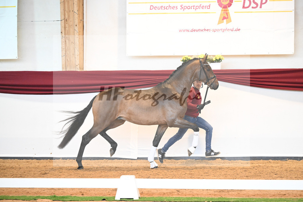 Kat-Nr. 39 v. Jovian_Dahlhoff_66220985 | hf-fotografie - Realisiert mit Pictrs.com