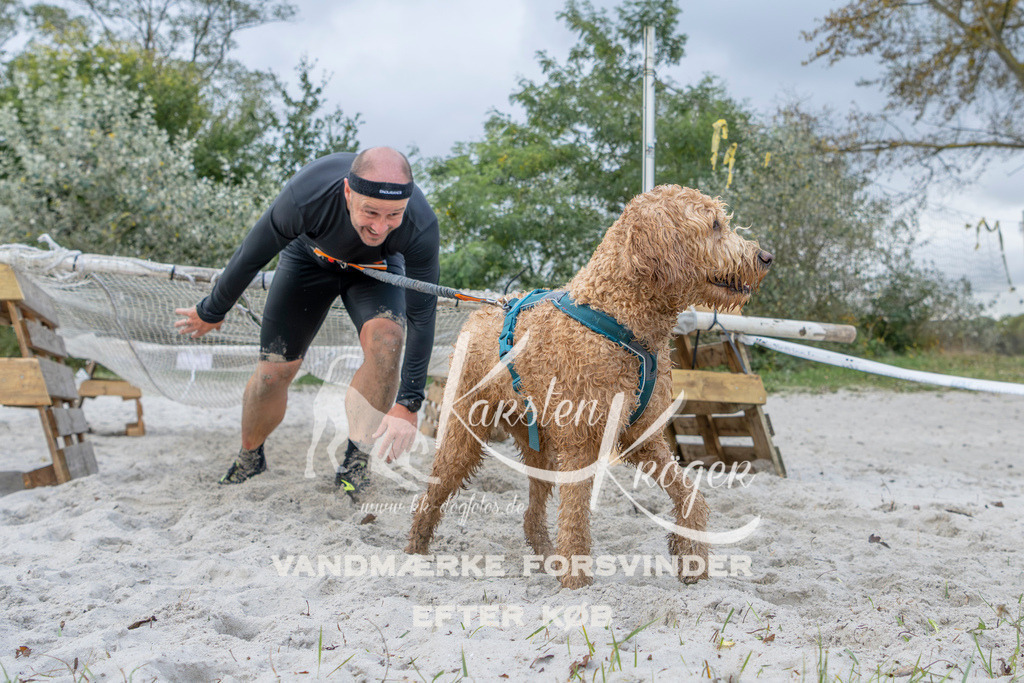 1127_ZZ96971 | kk-dogfotos