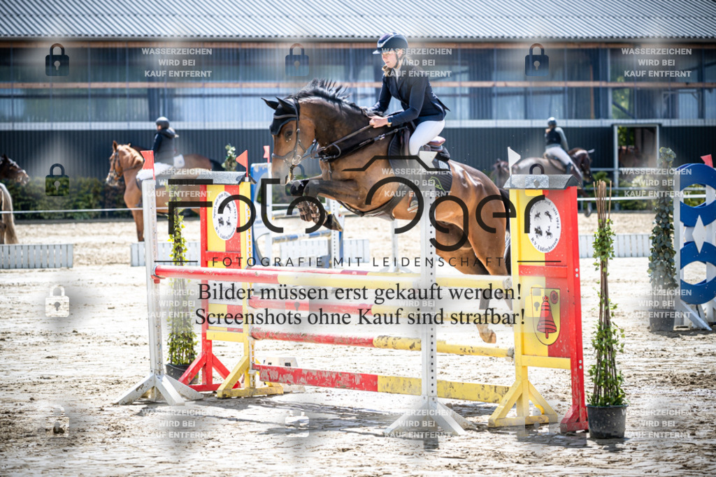 DOS_1259 | Reitturnier Lüdinghausen - Realisiert mit Pictrs.com