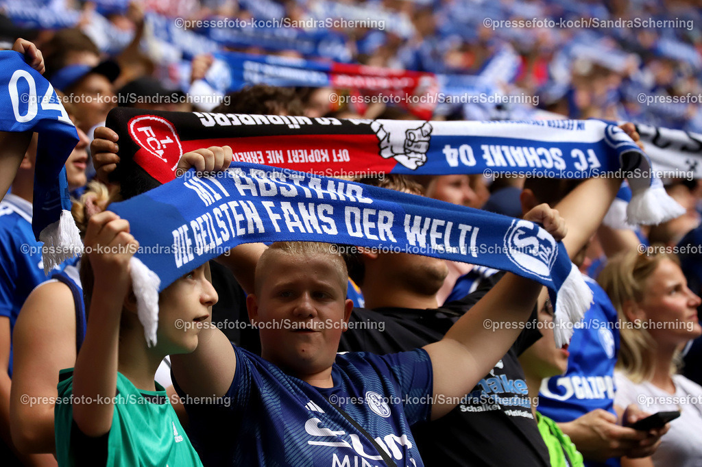 xSSC26072501061 | 26.07.2025, xsscx, Fuﬂball, FC Schalke 04 - FC Sevilla, 2. Fuﬂball Bundesliga, VELTINS-Arena, Saison 2025 2026: Fans vom FC Schalke 04 mit Schal des Vereins DFB regulations prohibit any use of photographs as image sequences and or quasi-video.