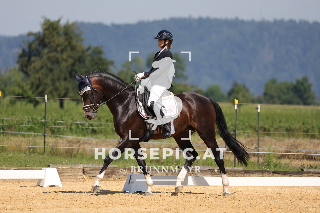 0P6A9622 | Willkommen bei Brunnmayr - Design & Fotografie – Ihrem Spezialisten für Reitturniere und Pferdeveranstaltungen in Oberösterreich, Salzburg und Bayern! Seit über 17 Jahren sind wir leidenschaftlich dabei.