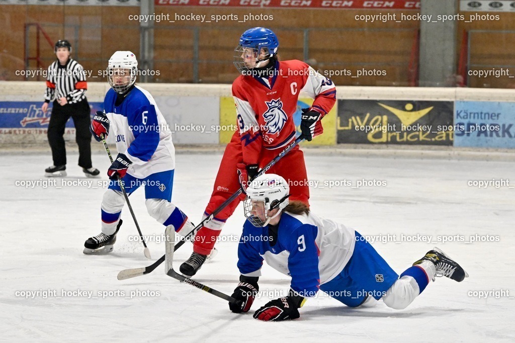 Z9B_7353 | hockey sports photos, Pressefotos, Sportfotos, hockey247, win 2day icehockeyleague, Handball Austria, Floorball Austria, ÖVV, Kärntner Eishockeyverband, KEHV, KFV, Kärntner Fussballverband, Österreichischer Volleyballverband, Alps Hockey League, ÖFB, 