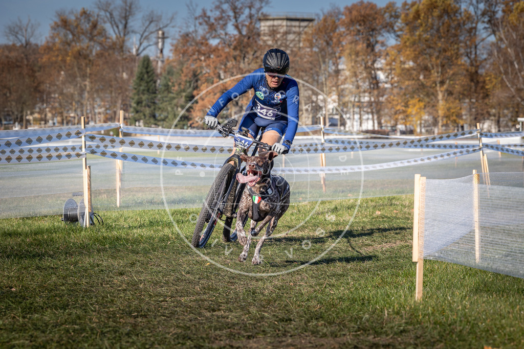 CaniXpix_0L8A5947 | Hundefotografie, Tierfotograf, Pfotenfotografie, Fotoshooting Hund, Hunde Portrait, Hundesport, Hundeportraits, Heideshooting, Hunde, Sportfotograf, Hundefotograf, Turnierhundsport, THS,  - Realisiert mit Pictrs.com