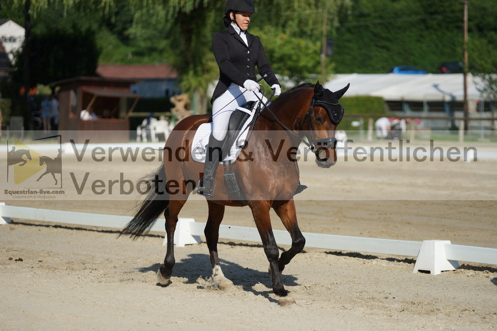 DSC04078 | equestrian-live-com