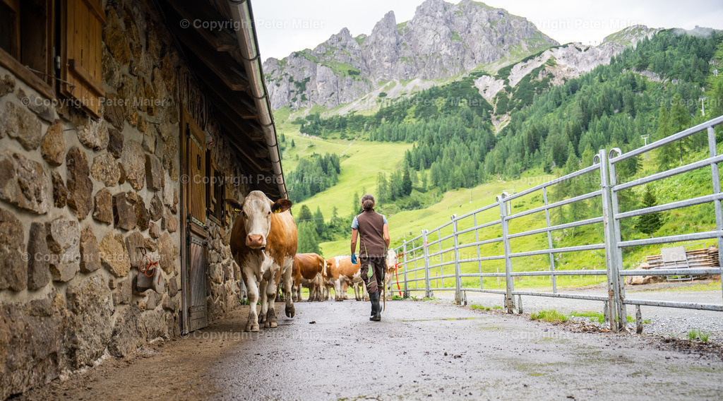 Watschiger Alm Sonnenuntergang | piet_flosse