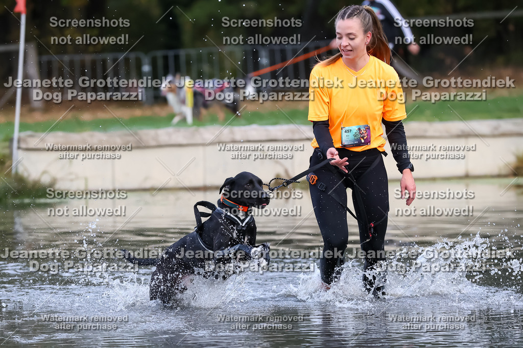 Dog Paparazzi - Strongdog 10-25-6323 | Dog Paparazzi Jeanette Grottendiek Fotografie & Videografie - Realisiert mit Pictrs.com