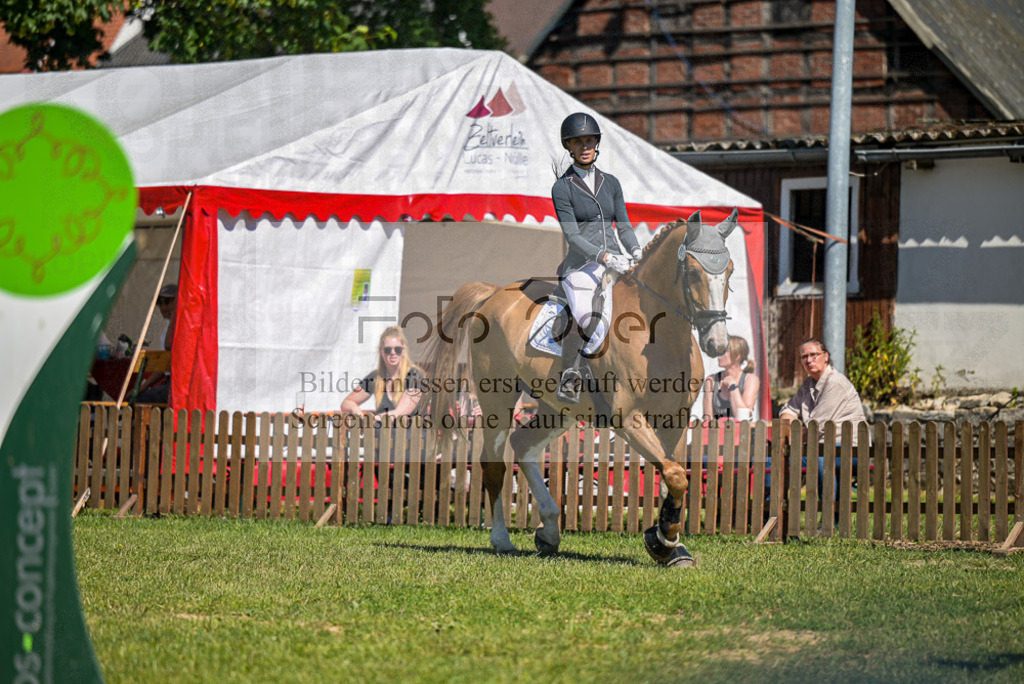 Reitturnier Voxtrup | Entdecke hochwertige Reitturnierfotos von Foto Oger. Professionell, emotional und authentisch – jetzt Lieblingsmomente im Shop bestellen.Deutschlandweite Turnierfotografie. - Realisiert mit Pictrs.com
