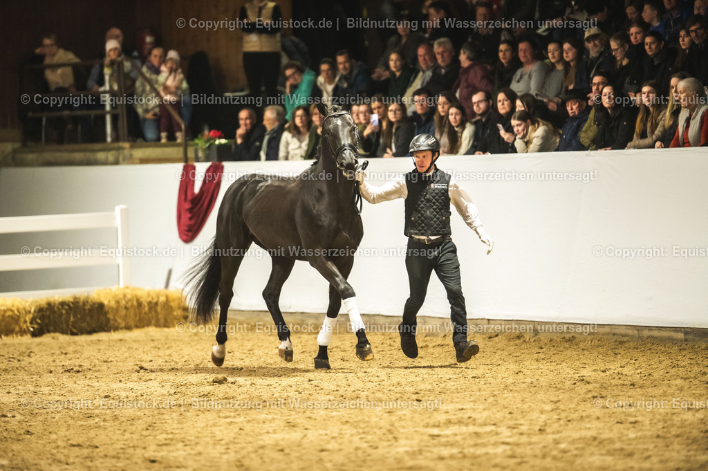 20240302_Hengstvorstellung_Marbach_TOMsPiC_1275 | equistock