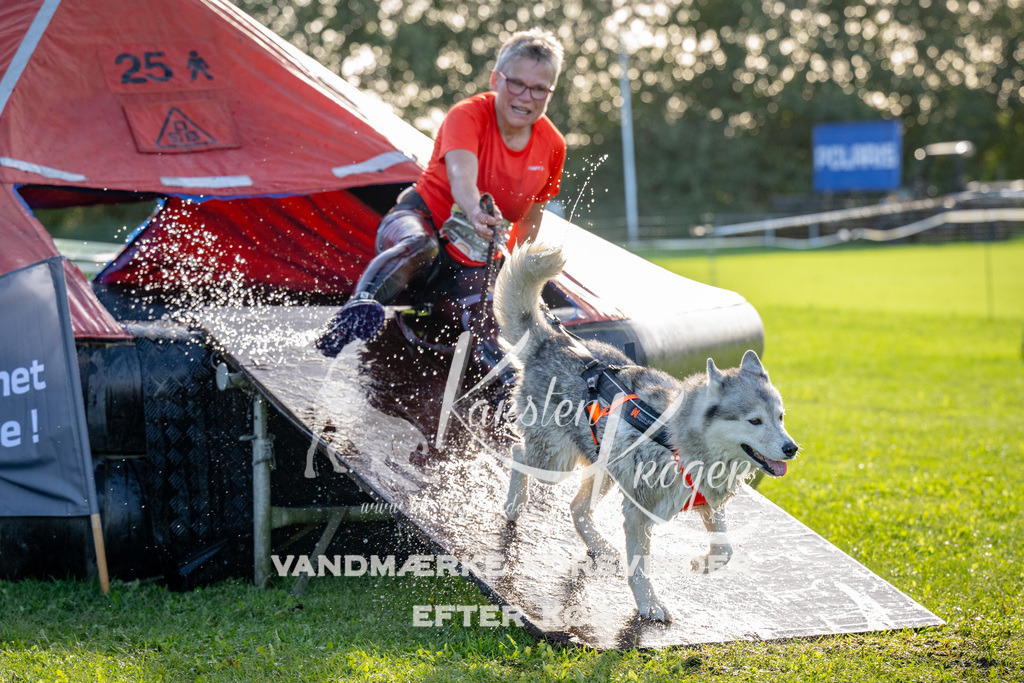 1101-91760 | kk-dogfotos
