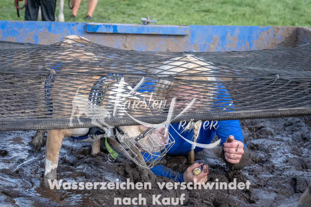 1613_ZZ92001 | kk-dogfotos