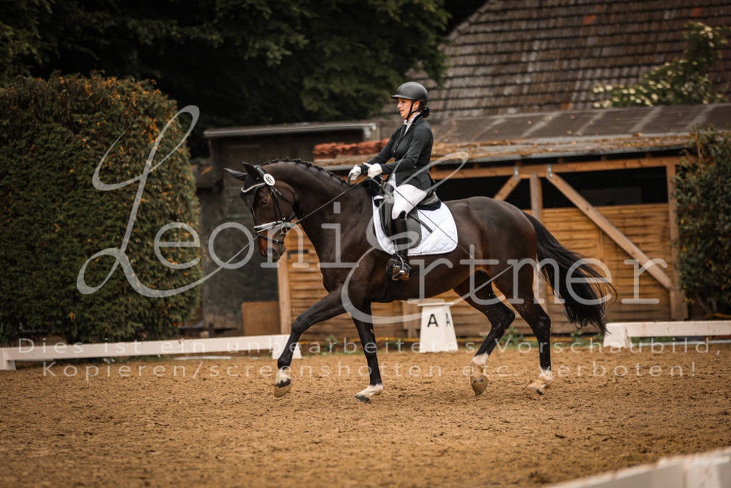 DoDrA200192 | Leoni Ertmer Photography - Realisiert mit Pictrs.com