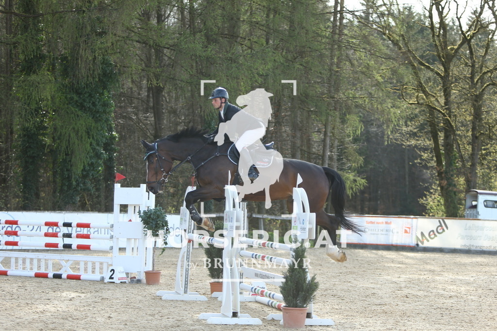 DL2Q1870 | Willkommen bei Brunnmayr - Design & Fotografie – Ihrem Spezialisten für Reitturniere und Pferdeveranstaltungen in Oberösterreich, Salzburg und Bayern! Seit über 17 Jahren sind wir leidenschaftlich dabei.