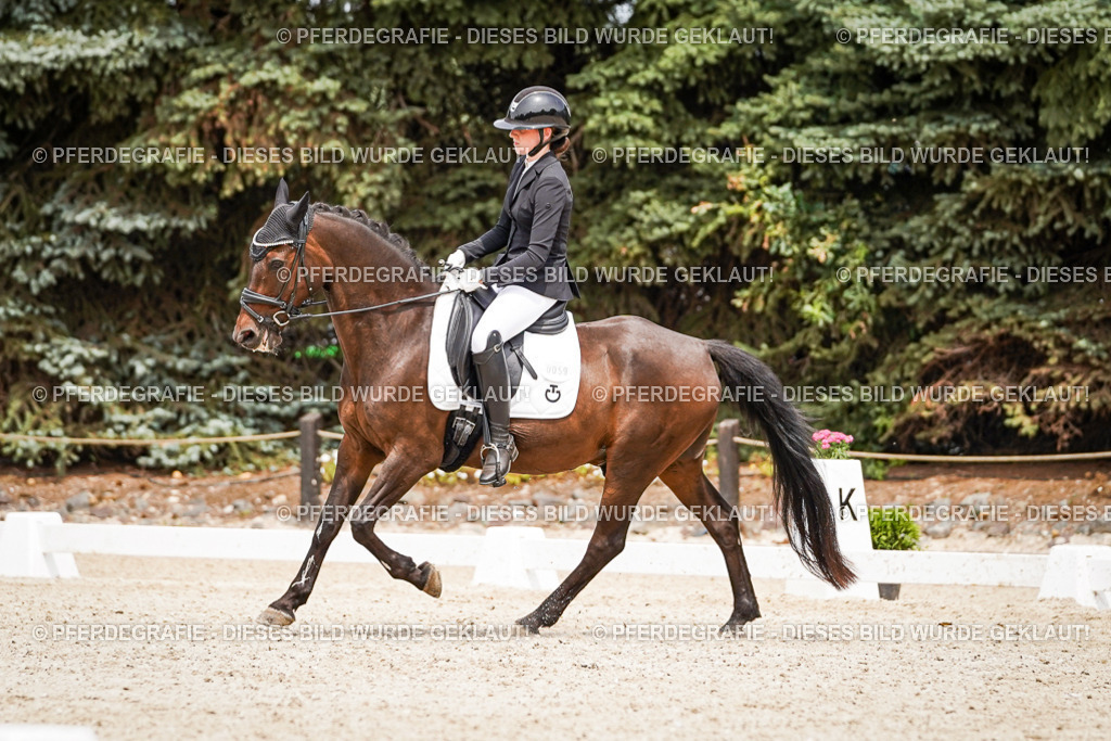 DSC04141 | Pferdegrafie