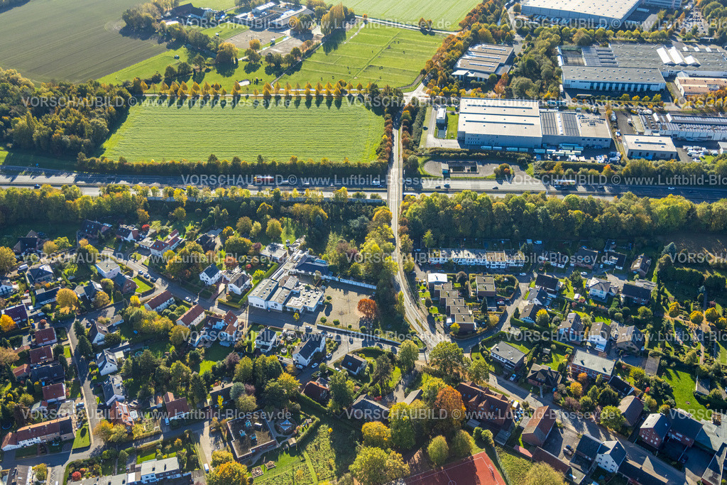 Hamm251001673 | Luftbild, Brücke Wambelner Straße über die Autobahn A2, Wiesenfläche von herbstlicher Baumallee umgeben an der Autobahn A2, herbstliche Bäume, Stadtbezirk Rhynern, Hamm, Ruhrgebiet, Nordrhein-Westfalen, Deutschland