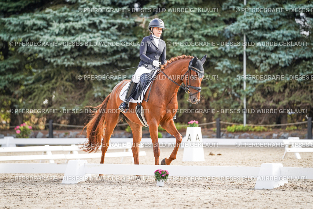 DSC00732 | Pferdegrafie