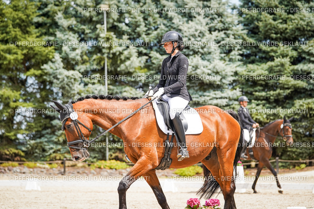 DSC03671 | Pferdegrafie