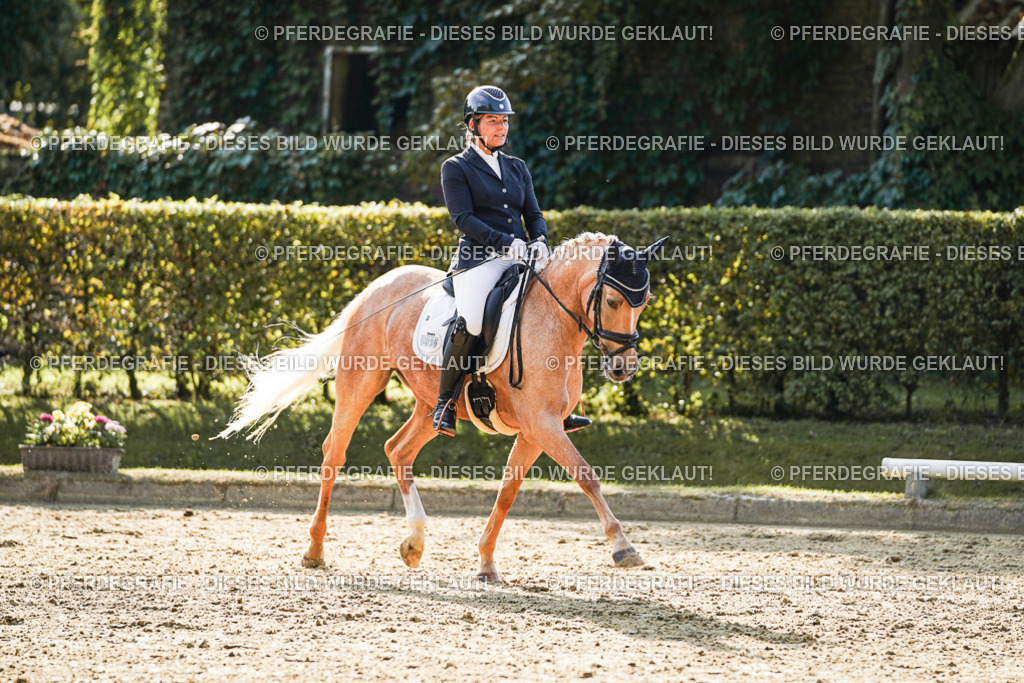 DSC05710 | Pferdegrafie