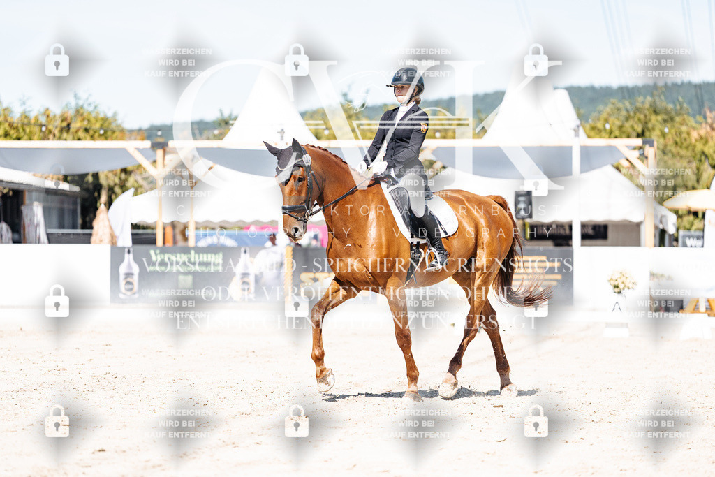CK909471 | Turnierfotografie Pferdefotografie Trier Rheinland-Pfalz Pferdesport Reitsport Tierfotografie Sportfotografie Pferdevideo Pferdevideografie Equestrianvideography equestrianphotography  - Realisiert mit Pictrs.com