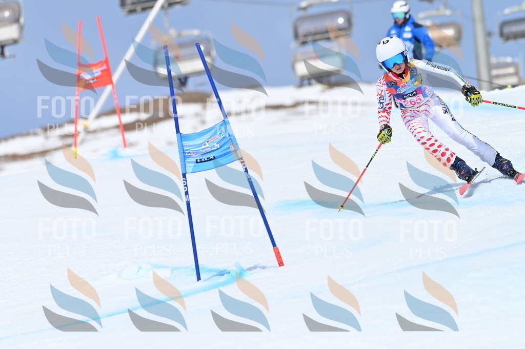 BGV_2171 | holidayphoto