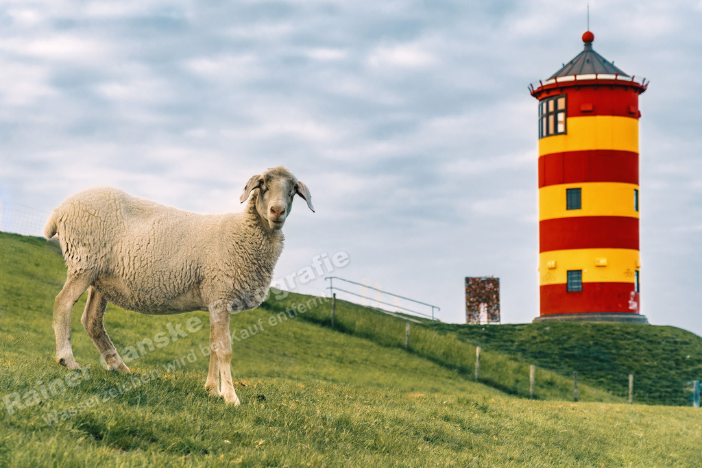 027 Pilsumer Leuchtturm - 05-05-2022 -R Ganske | Onlineshop mit Bildern von Stränden, Häfen und Meer. Leinwände, Poster, Kalender und andere Materialien erhältlich. Kommerzielle Lizenzen möglich.  - Realisiert mit Pictrs.com