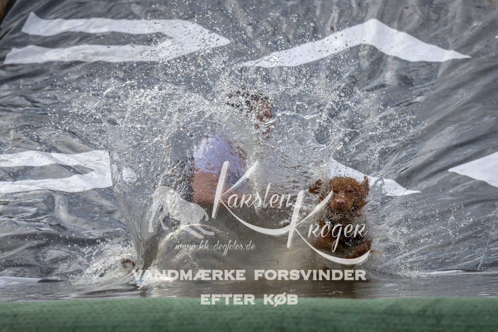 1109_ZZ92617 | kk-dogfotos