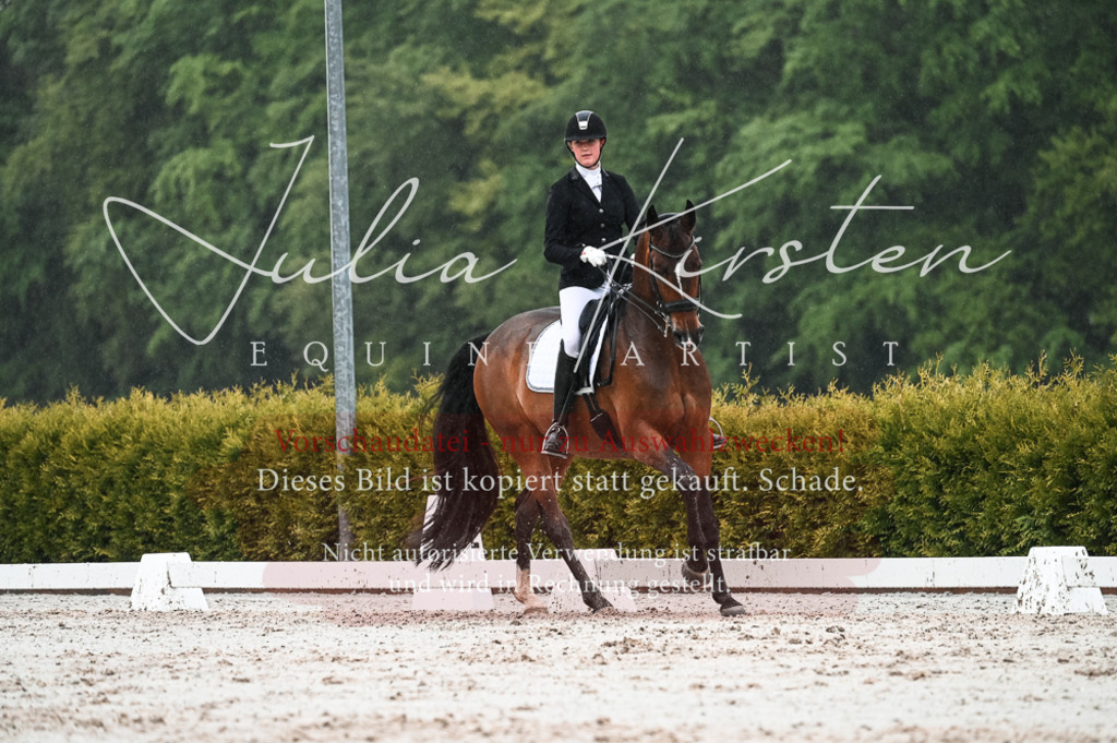 DSC_4591 | Pferde- und Turnierfotografie in Westsachsen. Pferdeportraits, Auftragszeichnungen und intuitive Kunst.