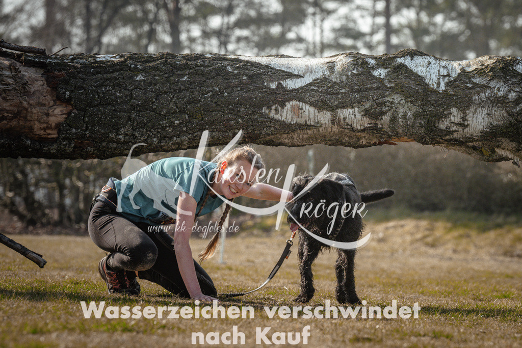 1017_ZZ92319 | kk-dogfotos