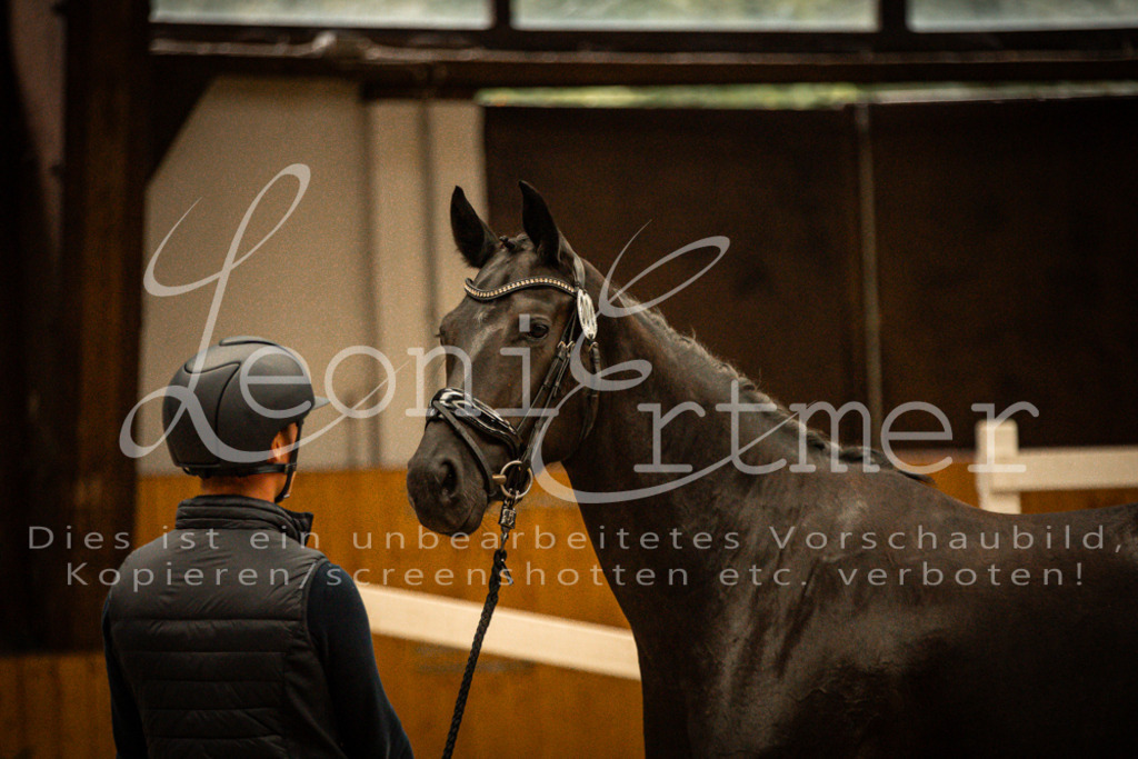 1FS_L00110 | Leoni Ertmer Photography - Realisiert mit Pictrs.com