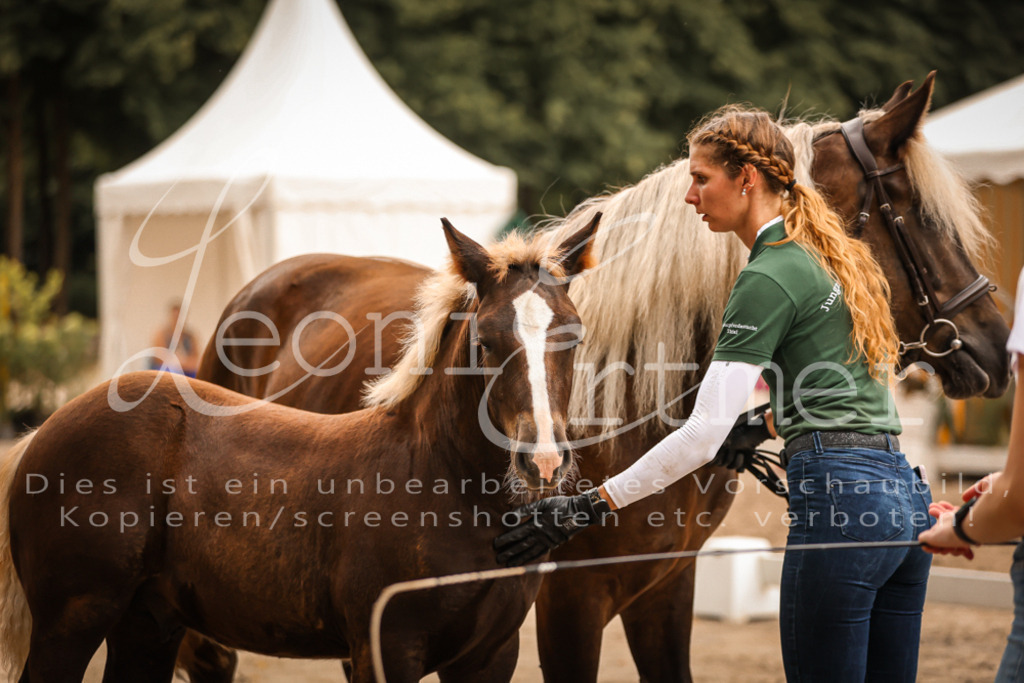 SaHF00096 | Leoni Ertmer Photography - Realisiert mit Pictrs.com